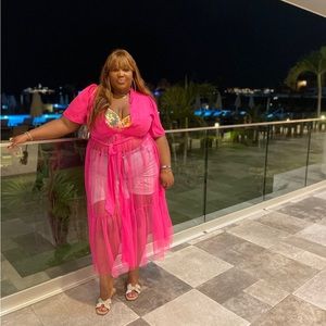 Pink button down sheer top